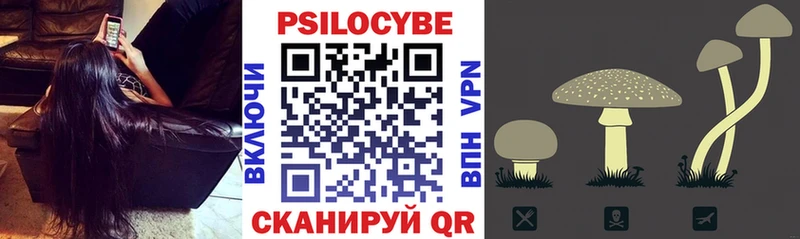 Псилоцибиновые грибы Psilocybe  дарк нет формула  Тамбов 
